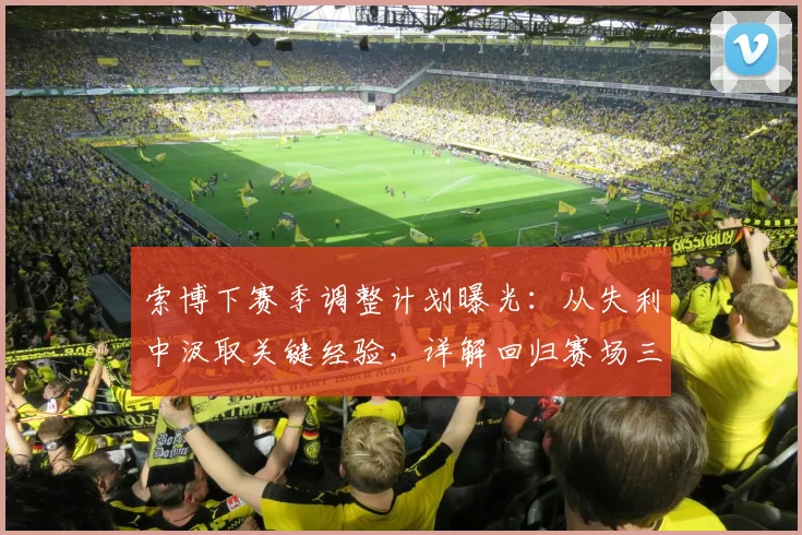索博下赛季调整计划曝光：从失利中汲取关键经验，详解回归赛场三大步骤与变强路径